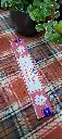 20251027_082751.webp