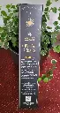 20251128_092247.webp