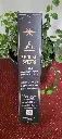 20251128_092204.webp