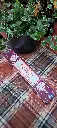 20251027_082436.webp