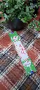 20251027_082505.webp