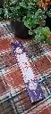 20251027_082725.webp
