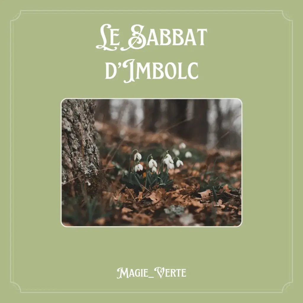 Syllabus Imbolc