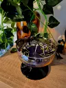 Bougie "Rituel de Protection" 