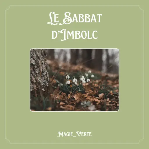 Syllabus Imbolc